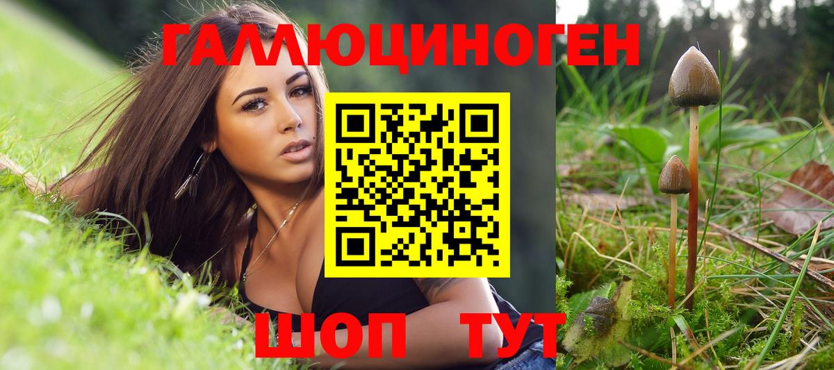 Галлюциногенные грибы GOLDEN TEACHER Углич