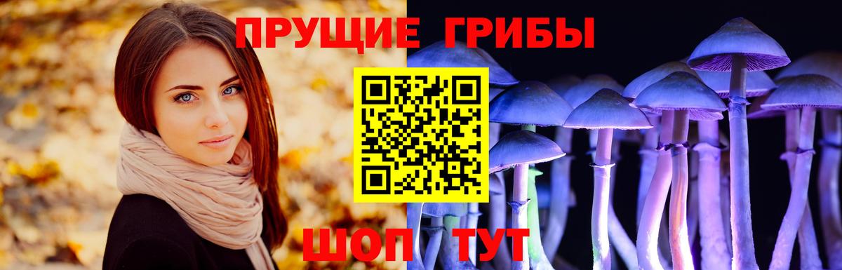 Углич  где продают наркотики  Вход с VPN  Псилоцибиновые грибы прущие грибы  Псилоцибиновые грибы Cubensis 